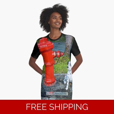 Le Studio Graphic T-Shirt Dress Rush Signals Monument